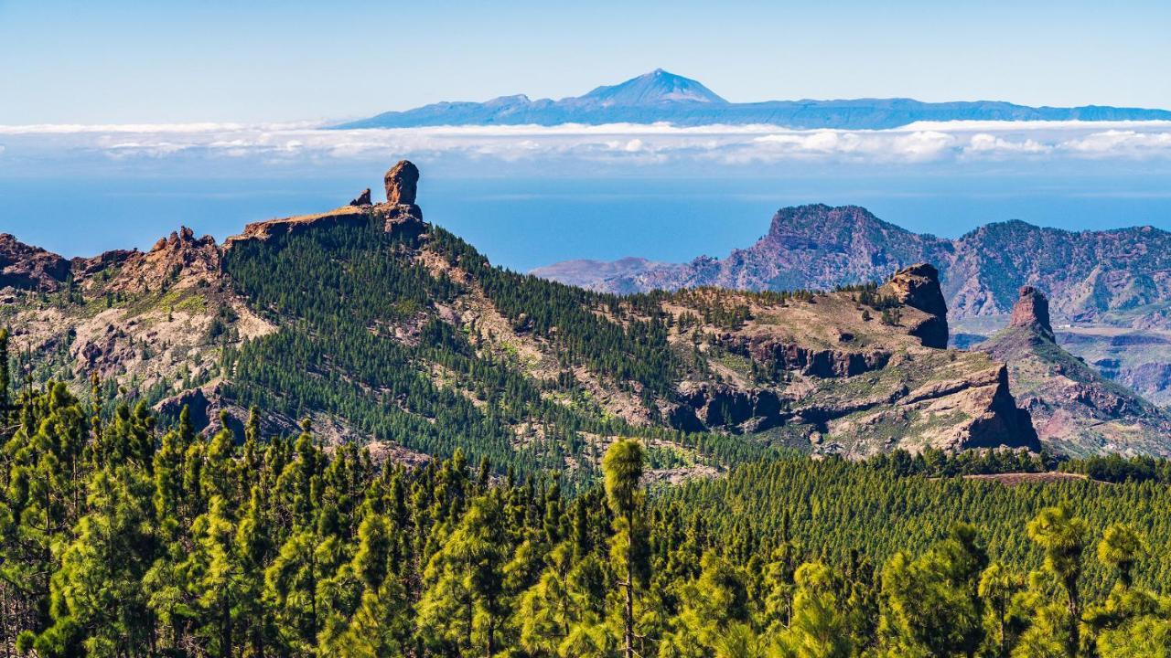 Julia'S Sweet Home Mesa Y Lopez Лас-Пальмас-де-Гран-Канария Экстерьер фото